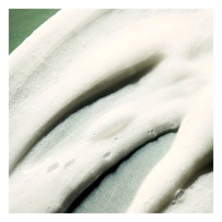 ALFAPARF BENVOLEO HYDRATION SHAMPOO CREMOSO HIDRATAÇÃO 200ML