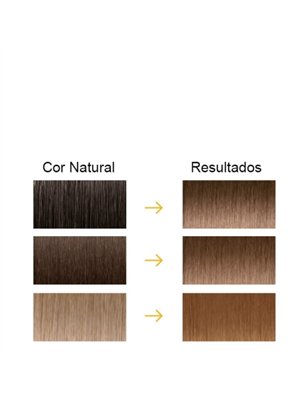 Farmatint Gel Color Coloração Permanente Cor 6D Louro Escuro Dourado