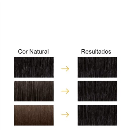 Farmatint Gel Color Coloração Permanente Cor 1N Preto