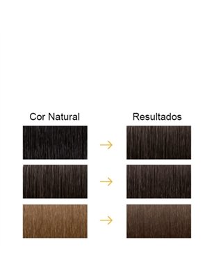 Farmatint Gel Color Coloração Permanente Cor 4N Castanho