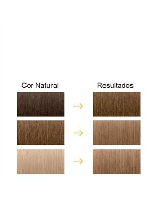 Farmatint Gel Color Coloração Permanente Cor 8N Louro Claro